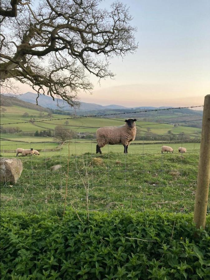 Cosy Arts & Crafts Cottage With Stunning Views Brecon Kültér fotó
